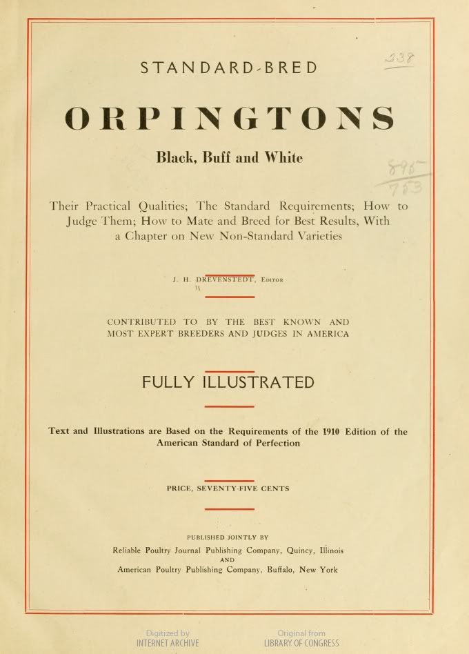Orpingtons_Drevenstedt_1911.jpg