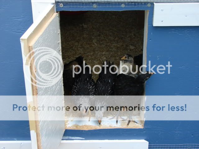 DSC00963-1.jpg