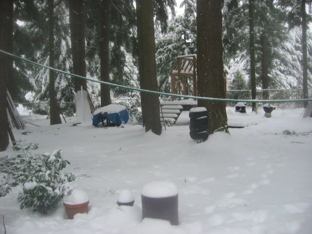 100_0004.jpg