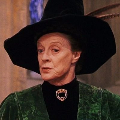 Minerva Mcgonagall (@NotMrsNorris) | Twitter