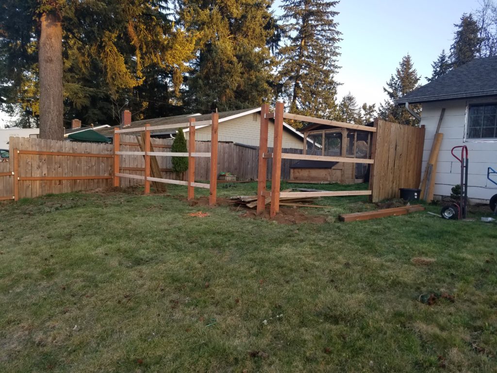 20190320_185634-1024x768.jpg