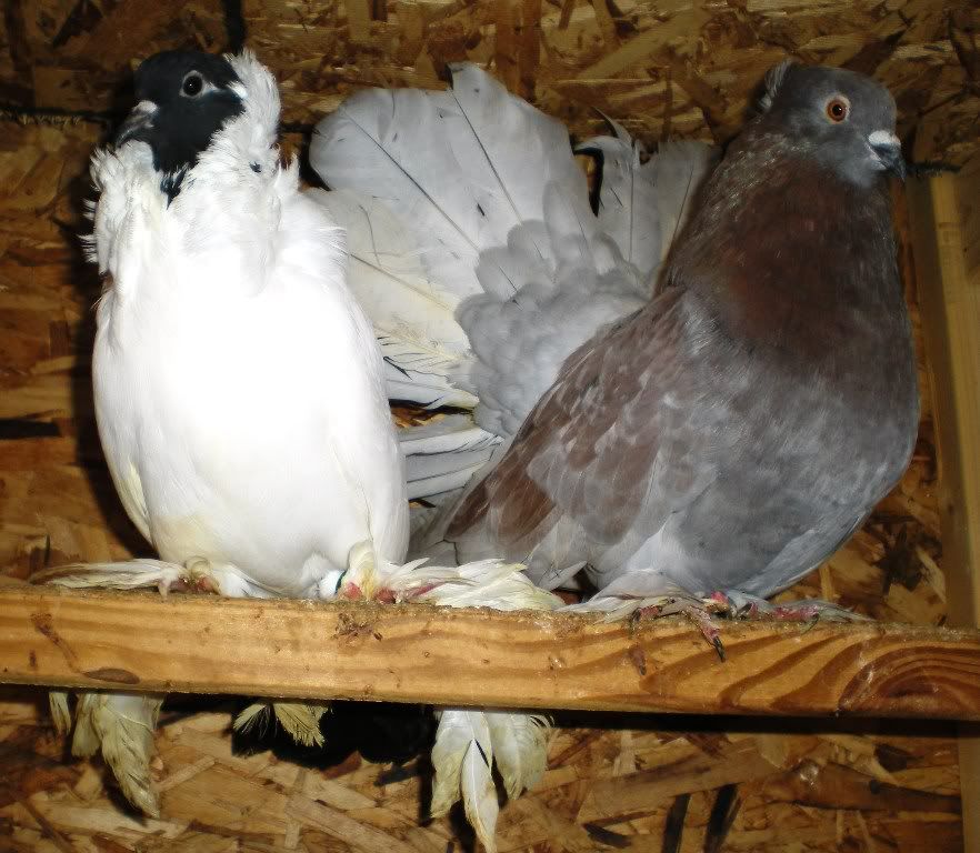 DSCN5855.jpg
