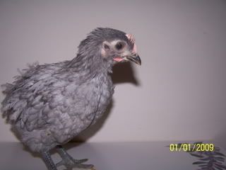 100_7282.jpg