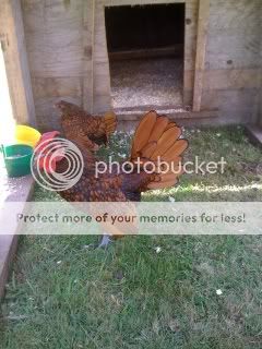 PhonePicsAsAlways005.jpg