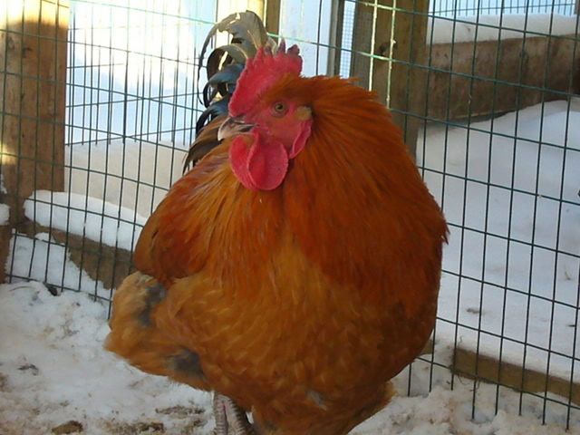 12-5-07002.jpg