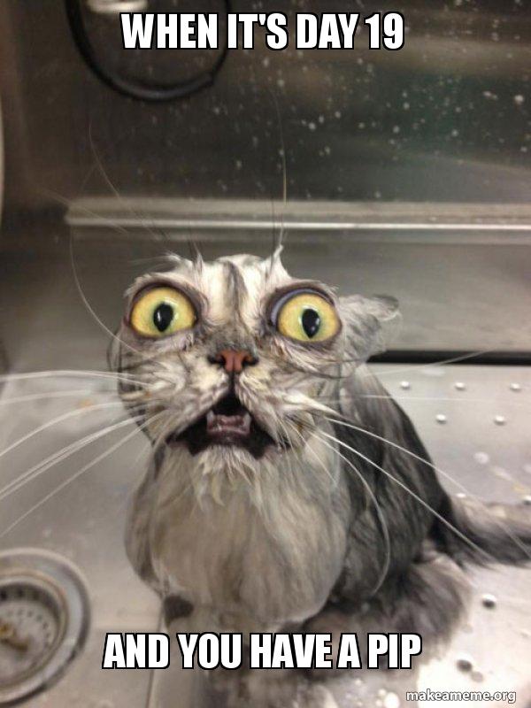 when-its-day-x6dxns.jpg