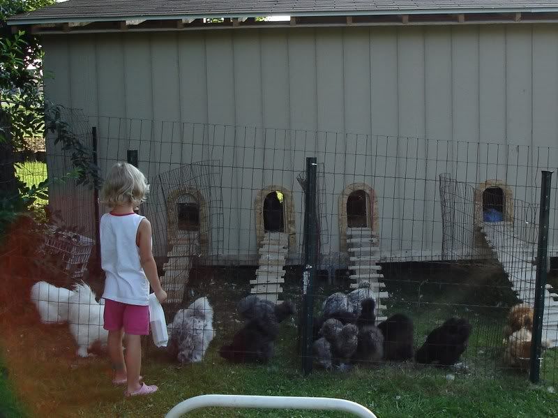 aacoopandchicks010.jpg