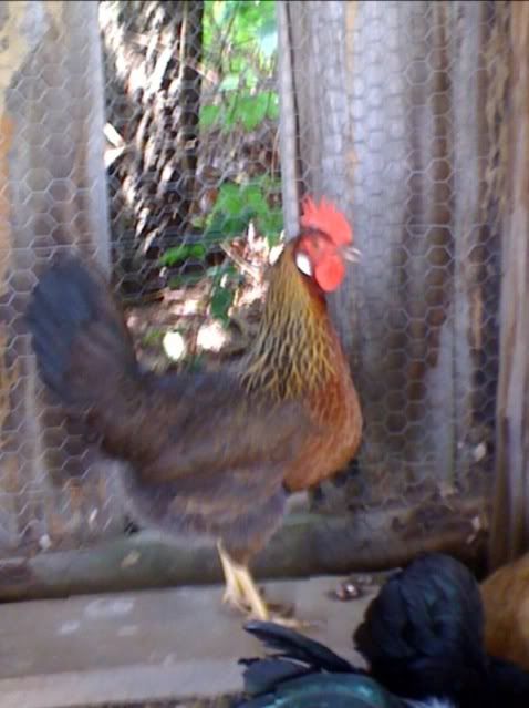 photo-2149.jpg