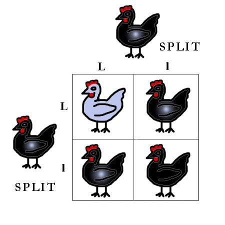 splitsplit.jpg