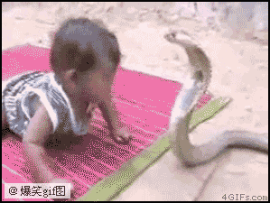 97e58a18jw1e5ppihjp46g208b0691ky.gif