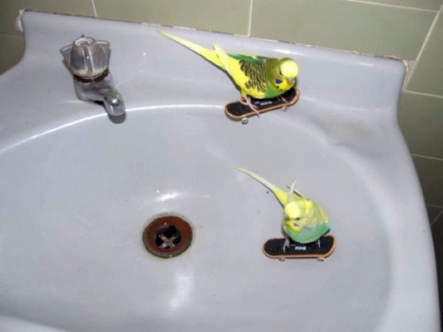 best-photos-week-58.jpg