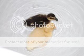 20110316_8.jpg