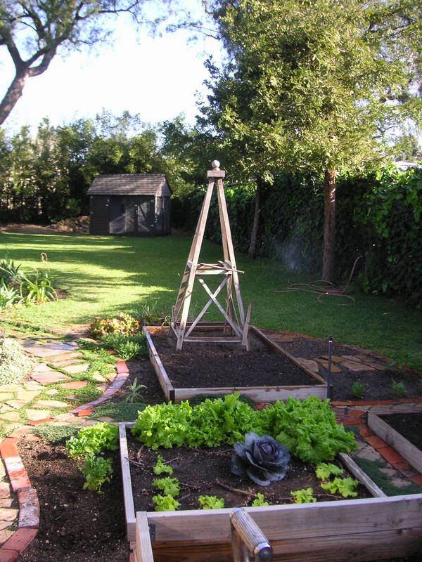 PICT0047.jpg