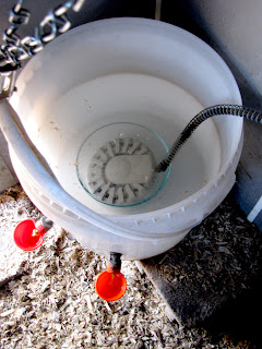 H20+6.jpeg
