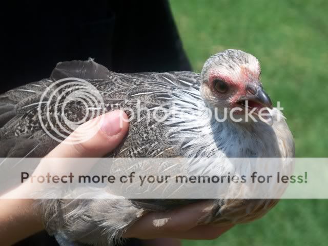 100_6543.jpg