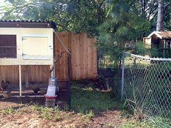 6064936089_8936ecba0f_m.jpg
