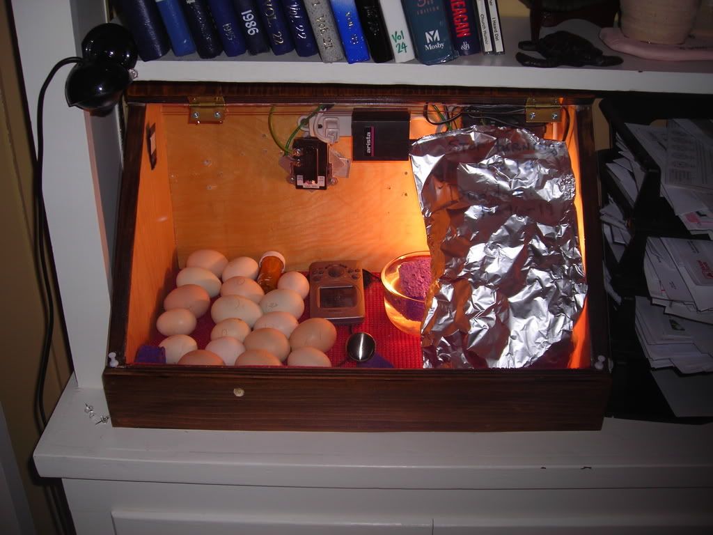 DSCN0686.jpg