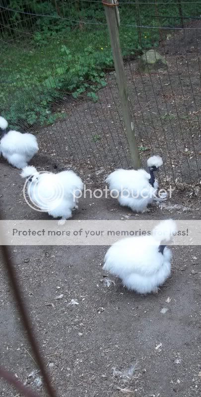 July2011053-Copy.jpg