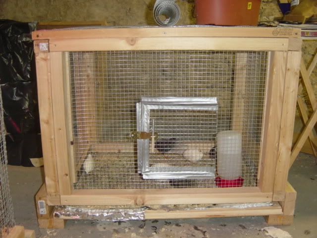 DSC03677.jpg