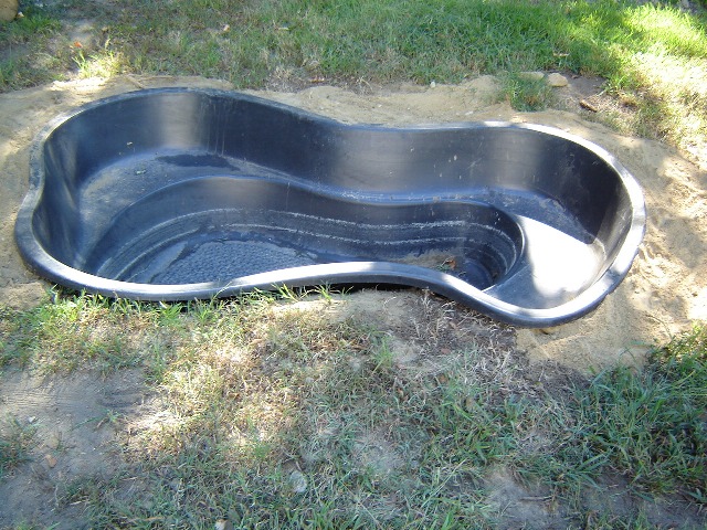 pond-11.jpg