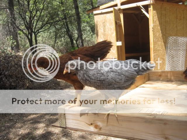 May2010156.jpg