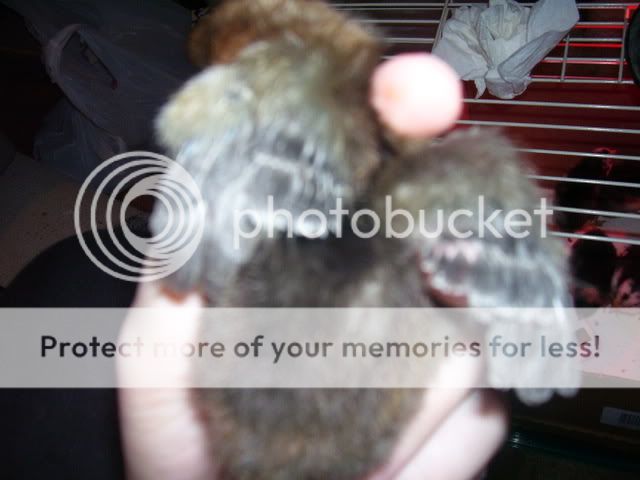 100_2510.jpg