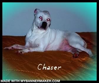 chaser111.jpg
