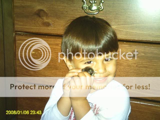 PICT0030.jpg
