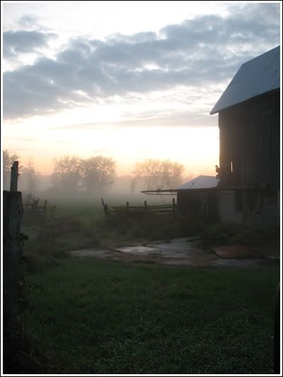 barnyard.jpg