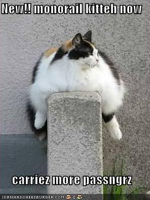 Cat-CatHangingOverWallNewMonorailKi.jpg