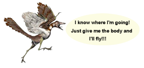 Archaeopterix.png