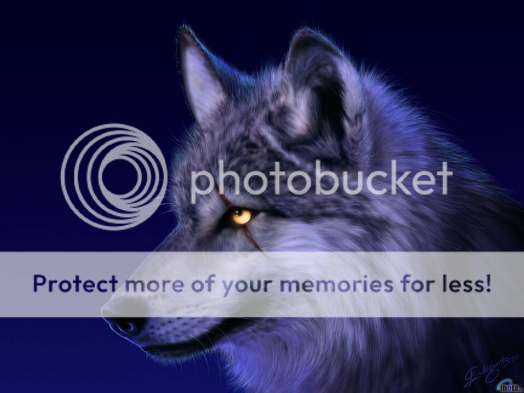 Wolf.jpg