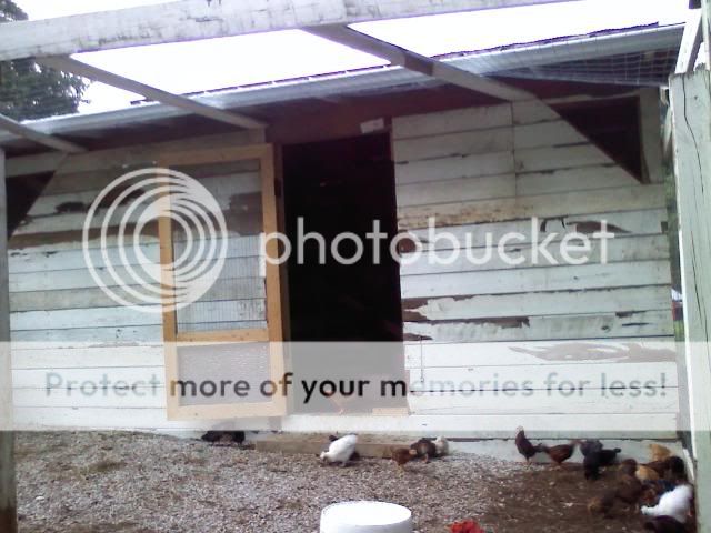 Chickhouse4.jpg