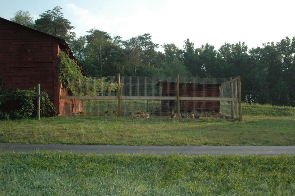 DSC_0135.jpg