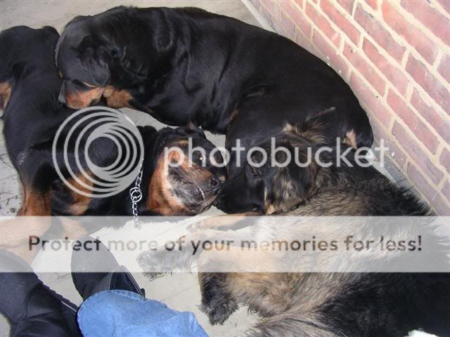 Picture019Small.jpg