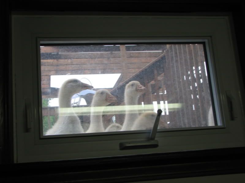 002-1.jpg
