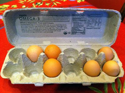 chixcoop_2010-10.jpg