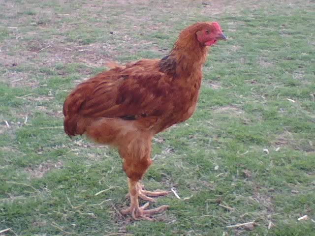 0615082001a.jpg