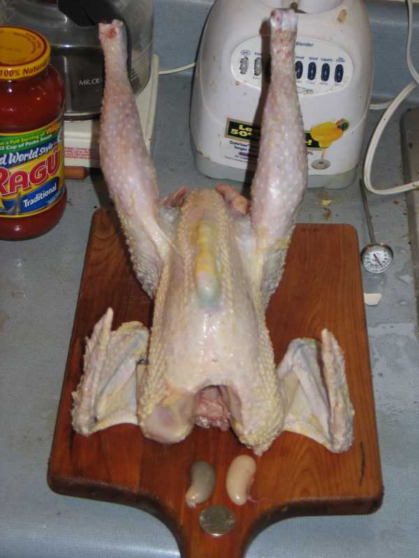 chicken1.jpg