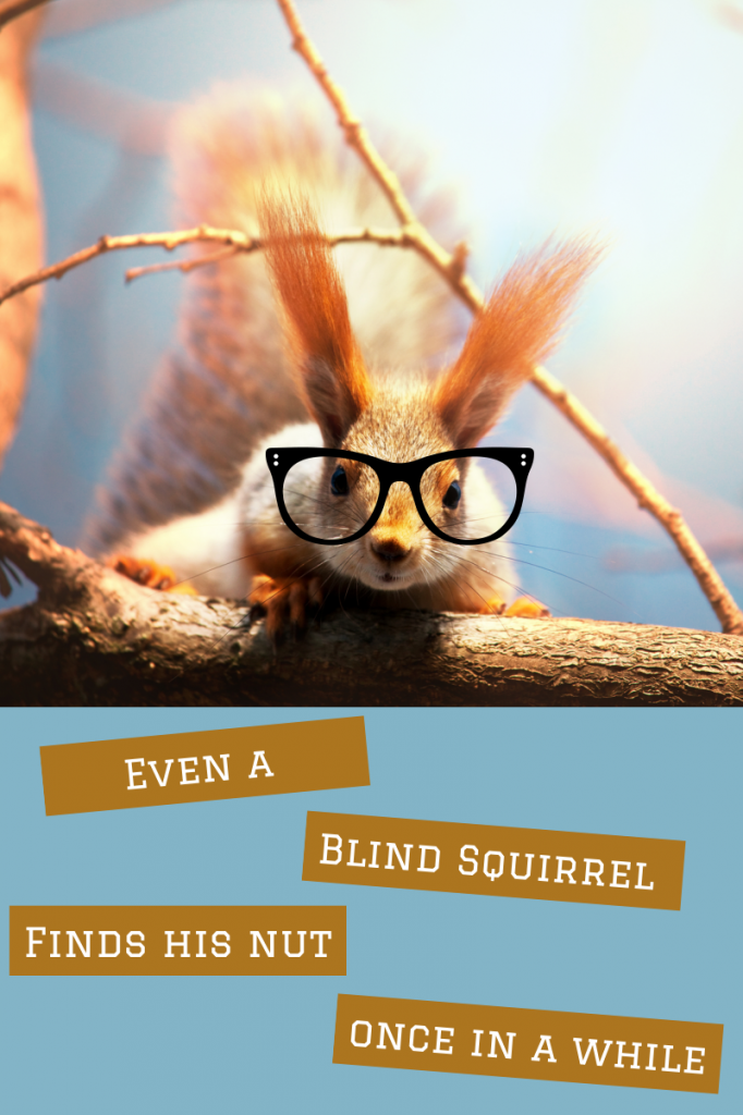 even-a-blind-squirrel-finds-a-nut-every-once-in-a-while-682x1024.png