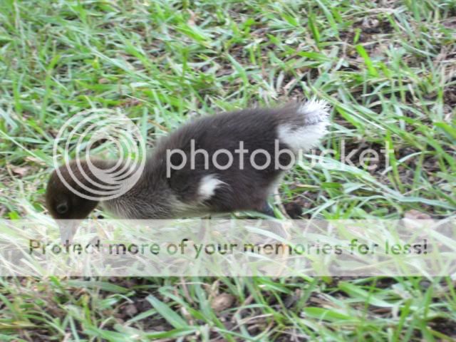 IMG_2741.jpg