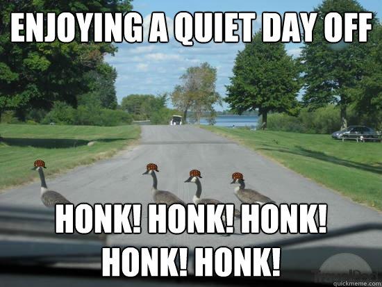 scumbag_geese_3.jpg