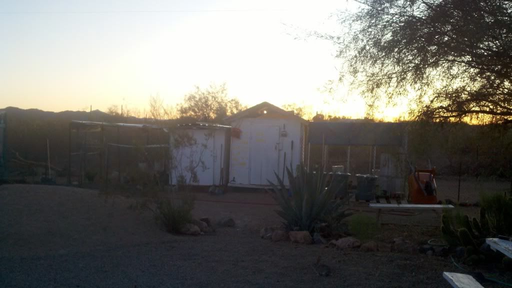 2011-12-06_07-16-48_56.jpg