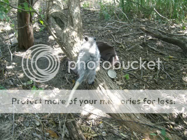 Picture1073.jpg