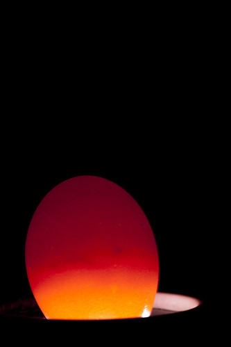 6224964633_9e4fa8b1eb.jpg