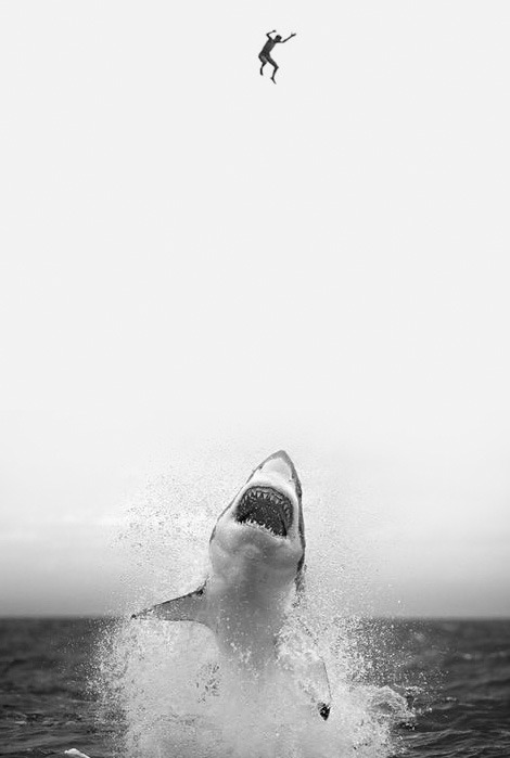 tumblr_lr0r1bU2ud1qa5rnho1_500.jpg