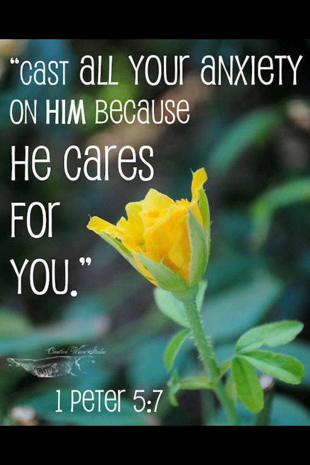 a1faf3219851658bdd9c6e03f22cbfff.jpg