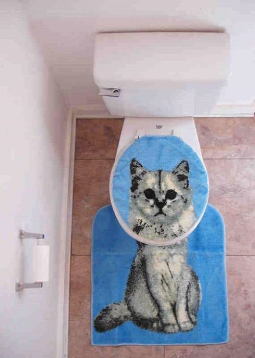 tumblr_lzgil9rr7t1qcki00o1_500.jpg