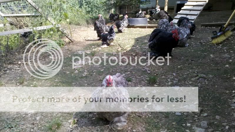 2011-09-18_15-38-56_133.jpg