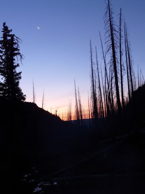 morningonthemt.jpg